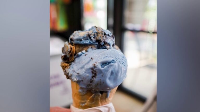 Sommer-Events mit kreativen Gourmet-Eisideen abk&uuml;hlen