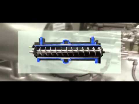 Veganer Gelato: Beliebte Alternativen in Deutschland