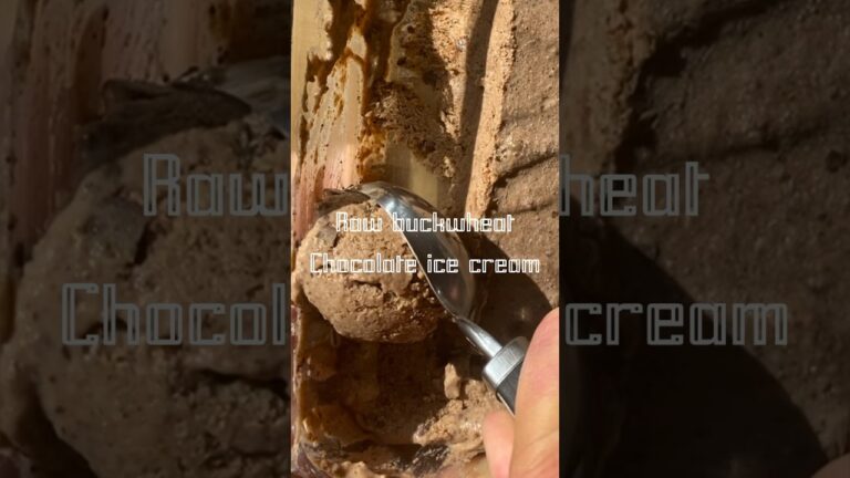 Vegane Erdnussbutter-Schokoladeneiscreme f&uuml;r s&uuml;&szlig;e Gel&uuml;ste