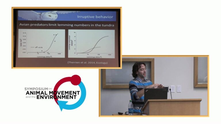 Abk&uuml;hlung durch internationale Eis-Trends in schneebedeckten Bergen