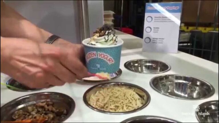 Tropisches Paradies im Frozen Yogurt-Becher