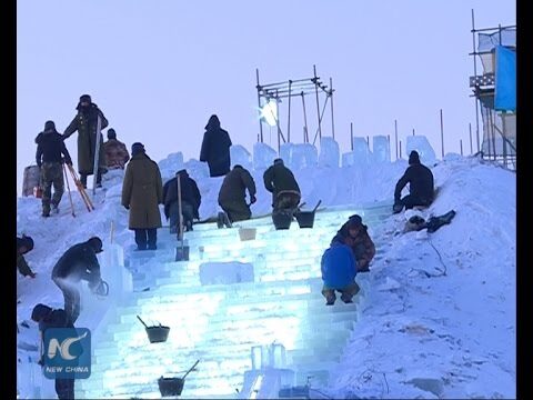 Eis-Trends aus aller Welt