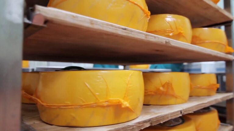 Energieeffizienz im Eismaschinenvergleich