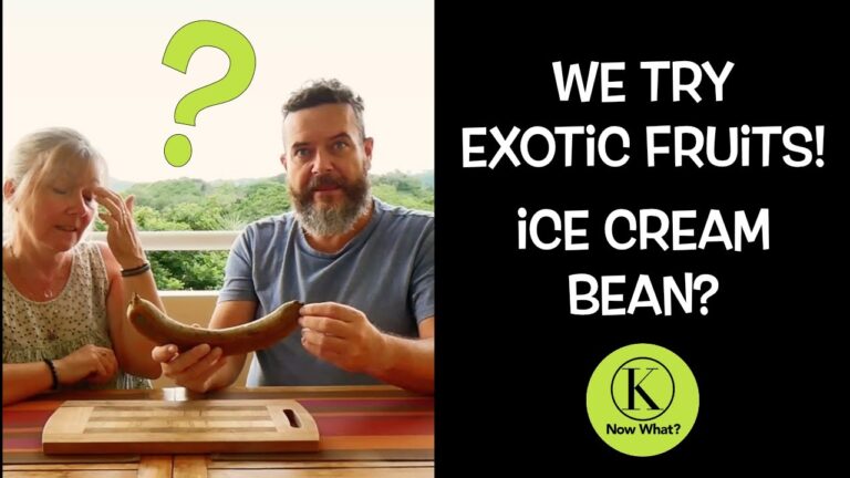 Exotische Fr&uuml;chte in der Eisproduktion: Ein Entdeckungsreise