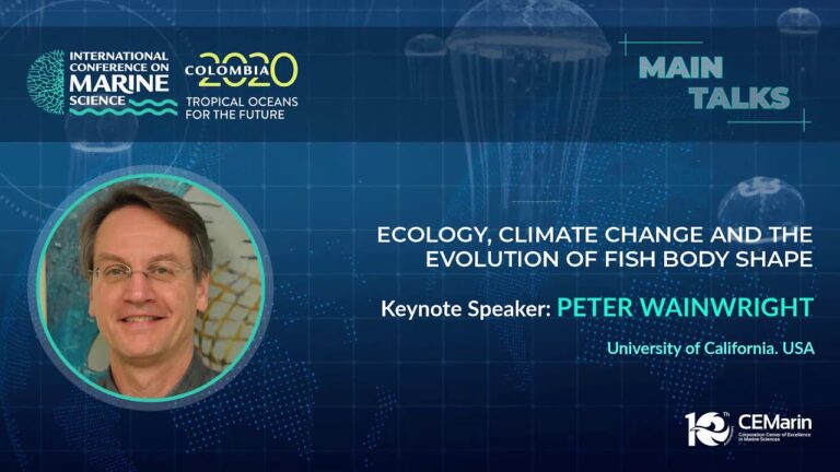 Die Vielfalt der arktischen Tierwelt und ihre Auswirkungen auf weltweite Eistrends