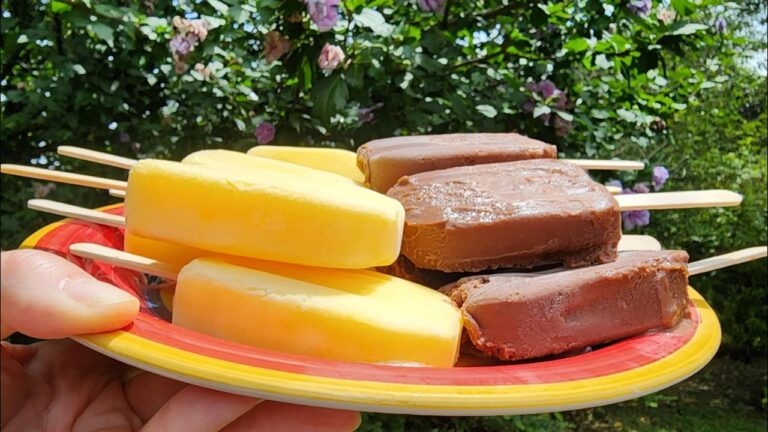 Hausgemachte Eis-Lolly-Rezepte f&uuml;r nostalgische Leckereien