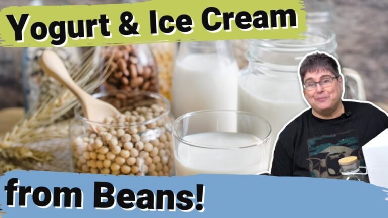 Indulgente Rezepte f&uuml;r veganes Eis auf Soja-Basis