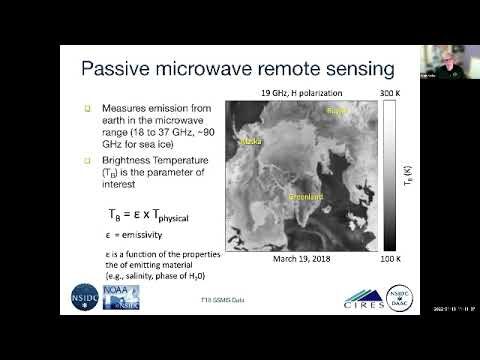 Einzigartige Eis-Trends aus aller Welt