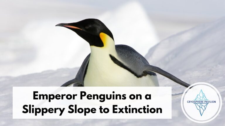 Globale Eis-Trends in den Lebensr&auml;umen von Pinguinen