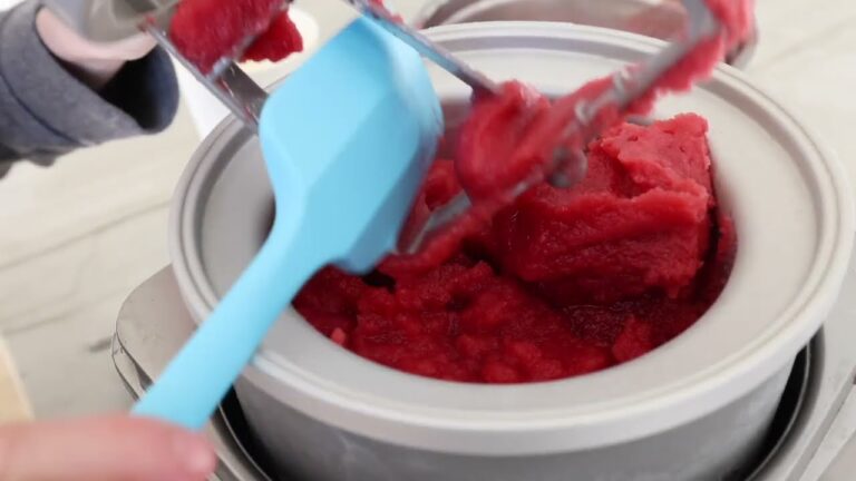 Hausgemachtes Cranberry-Sorbet f&uuml;r den Winter