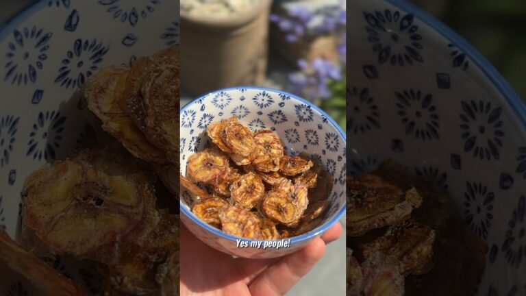 Die besten Bio-Eiscreme-Optionen f&uuml;r Gesundheitsbewusste